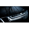 Nanolex - Si3D Headlight & Trim